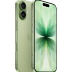 Apple iPhone 17 256 Go Sauge (MG6N4AF/A)