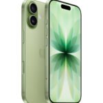Apple iPhone 17 512 Go Sauge (MG6V4AF/A)
