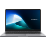 Ordinateur portable Asus ExpertBook P1 (P1503CVA-NJ0991)