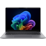 Ordinateur portable Asus ExpertBook P5 (P5405CSA-NZ0409X)