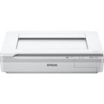 Scanner A3 EPSON WORKFORCE DS-50000 (B11B204131)