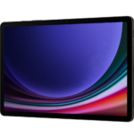 Tablette Samsung Galaxy Tab S9 5G (12GB / 256Go) – Image 4