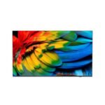 Philips 75HFL6214U 190,5 cm (75") 4K Ultra HD Smart TV Wifi Anthracite 400 cd/m² (75HFL6214U/12)