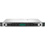 Serveur HPE ProLiant DL20 Gen11 (P65393-421)