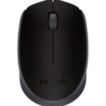 Souris sans fil Logitech M171 noire (910-004424)