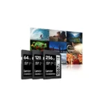 Carte SD Lexar Professional 1667x SILVER SDXC UHS-II 128 Go 250MB/s (LSD128CB1667) – Image 10