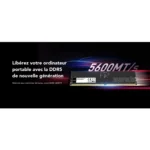 Barrette mémoire Lexar U-DIMM 32 Go DDR5 5600 MHz - PC Bureau (LD5U32G56C46ST-BGS)