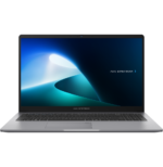 Ordinateur portable Asus ExpertBook P1 (P1503CVA-NJ0991)