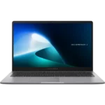 Ordinateur portable Asus ExpertBook P1 (P1503CVA-S71473)