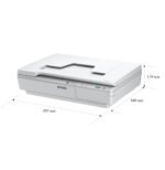 Scanner Epson WorkForce DS-5500 (B11B205131) – Image 7