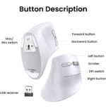 Souris sans fil Bluetooth Ugreen Multi-mode Vertical Blanc MU008 (45759) – Image 4