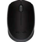 Souris sans fil Logitech M171 noire (910-004424)