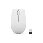 Souris sans fil USB Lenovo 300 compact