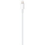 Apple Câble USB-C vers Lightning (2024) - 1 m – Image 4