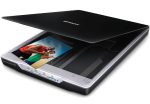 Scanner Epson Perfection V19 (B11B231401)