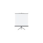 Ecran de projection Dinon Trépieds & Portable 2X2M