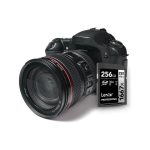 LEXAR CARTE SD SD1667X 128GB Professional 1667x SDXC™ UHS-II cards,up to 250MB/s read 120MB/s wr 12M – Image 3