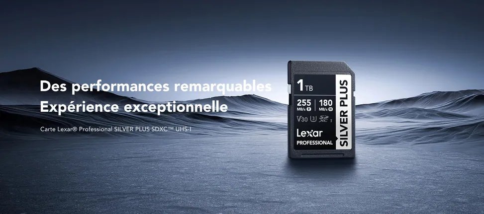cmsowrhpc0hr0qg03haau6yqk.jpg LEXAR CARTE SD SD Silver Plus 256GB Professional SILVER PLUS SDXC™ UHS-I cards,up to205MB/s read 12M – Image 1