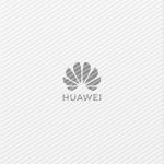 Point d'accès Plaque murale WiFi 6 Huawei AP266 Intérieur (50087274)