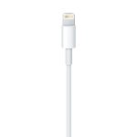 Apple Câble Lightning vers USB - 1 m (2024) – Image 3
