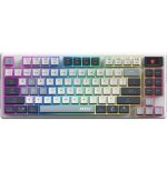 Clavier Gaming Mécanique Sans Fil MSI Forge GK600 TKL Sky FR (4711377284189) – Image 2