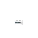 OLYMPUS AS-7032 PREMIUM KIT – Image 2